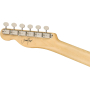 FENDER JIMMY PAGE TELECASTER RW NAT Электрогитара