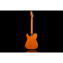 FENDER CUSTOM SHOP ARTISAN THINLINE TELE LTD Електрогітара