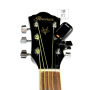 Гитарный набор с акустической гитарой IBANEZ V50NJP VS
