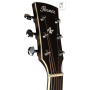 IBANEZ AW70ECE NT Гитара электроакустическая