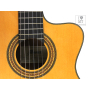 Гітара класична IBANEZ GA6CE AM