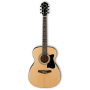 IBANEZ VC50NJP NT Гитарный набор с акустической гитарой