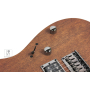 Електрогітара IBANEZ RG421 MOL