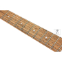 Електрогітара IBANEZ RG421 MOL