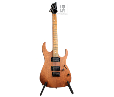 Електрогітара IBANEZ RG421 MOL