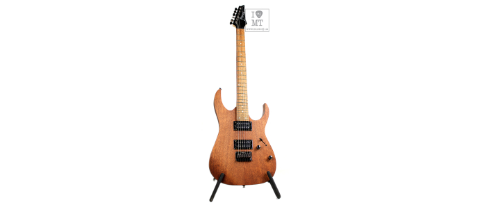 Електрогітара IBANEZ RG421 MOL