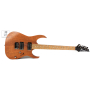 Електрогітара IBANEZ RG421 MOL