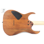 Електрогітара IBANEZ RG421 MOL
