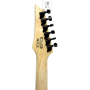 Електрогітара IBANEZ GRG121DX-BKF