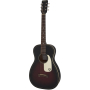 GRETSCH G9500 JIM DANDY FLAT TOP F-BOARD 2TSB Гітара акустична