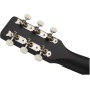 GRETSCH G9500 JIM DANDY FLAT TOP F-BOARD 2TSB Гітара акустична