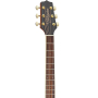 Гітара акустична TAKAMINE GD51 BSB