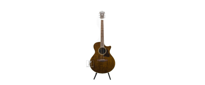 IBANEZ AE245 NT Гітара електроакустична