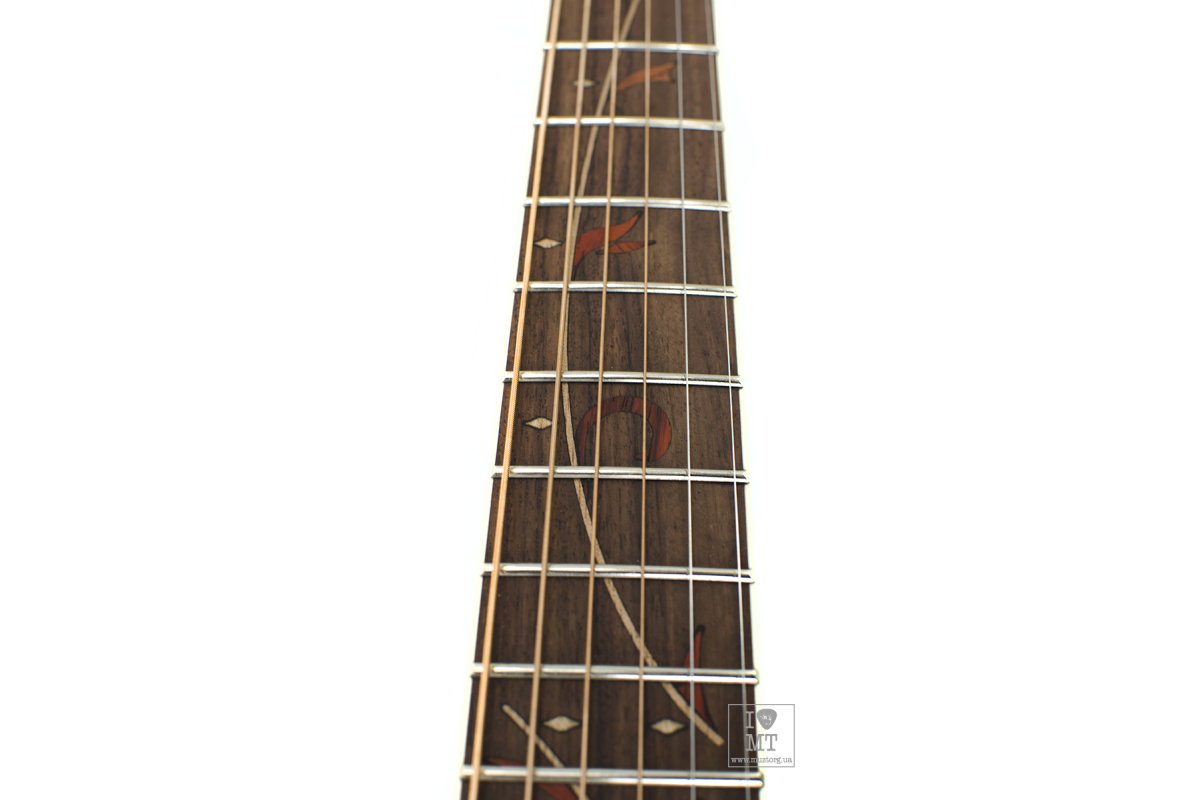 IBANEZ AE245 NT Гітара електроакустична