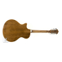 IBANEZ AE245 NT Гітара електроакустична