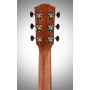 FENDER PM-1 DREADNOUGHT ALL MAHOGANY WITH CASE NATURAL Гитара акустическая