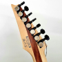 IBANEZ RGAIX7U ABS Електрогітара