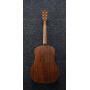 IBANEZ AW54JR OPN Гітара акустична