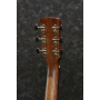 IBANEZ AW54JR OPN Гітара акустична