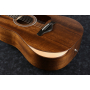 IBANEZ AW54JR OPN Гітара акустична
