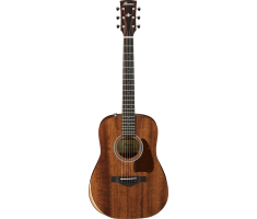 IBANEZ AW54JR OPN Гітара акустична