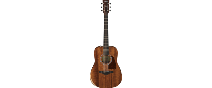 IBANEZ AW54JR OPN Гітара акустична