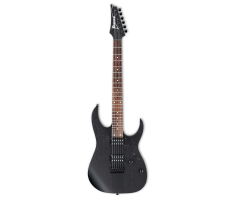 Електрогітара IBANEZ RGRT421 WK