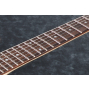 Електрогітара IBANEZ RGRT421 WK