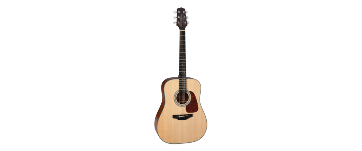 Гитара акустическая TAKAMINE GD10 NS