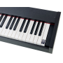 Цифровое пианино KORG D1