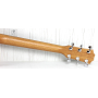 TAYLOR GUITARS 110E Гітара електроакустична
