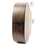 TAYLOR GUITARS 110E Гітара електроакустична