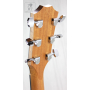 TAYLOR GUITARS 110E Гітара електроакустична