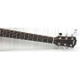 TAYLOR GUITARS 110E Гітара електроакустична
