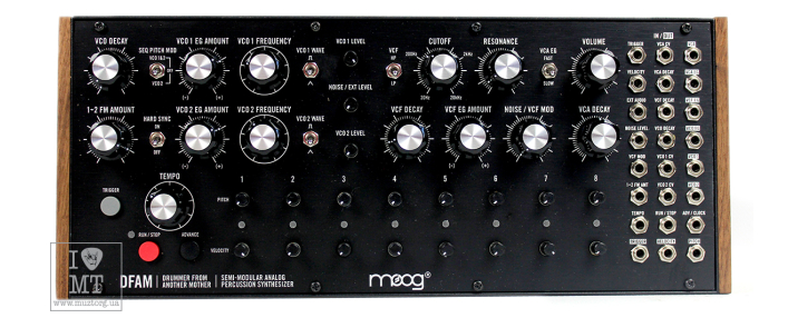 Синтезатор аналоговий MOOG DFAM