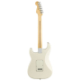 FENDER PLAYER STRATOCASTER MN PWT Электрогитара
