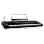 Синтезатор с автоаккомпанементом KORG EK-50