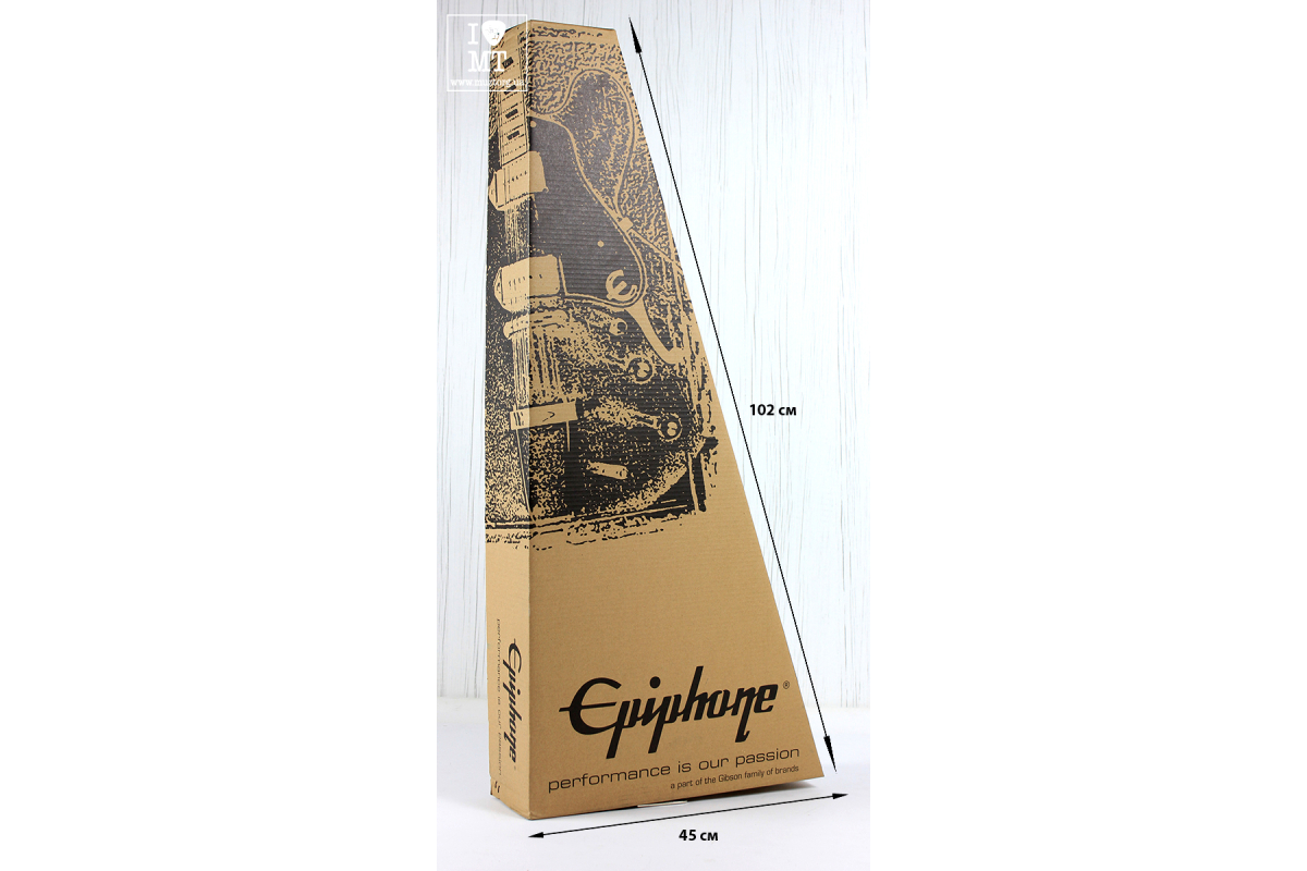 EPIPHONE PRO-1 CLASSIC 2.0 Гітара класична