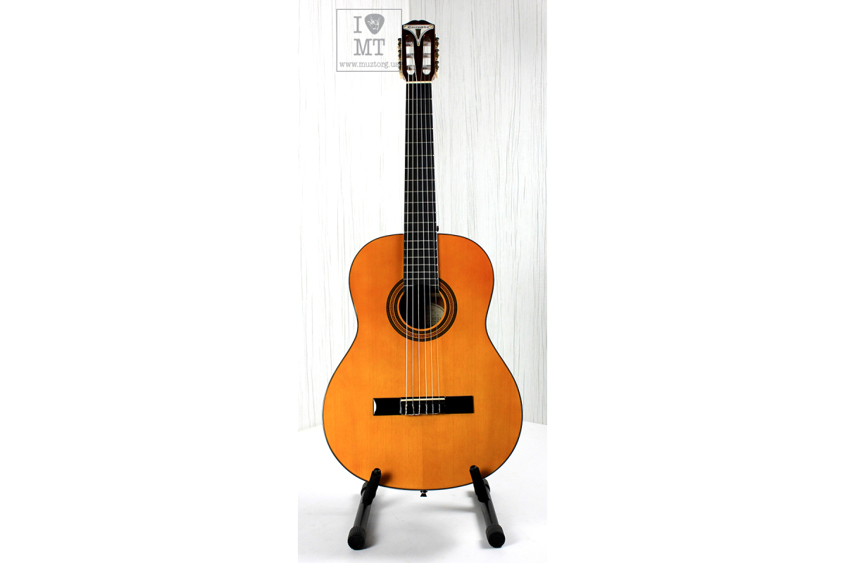 EPIPHONE PRO-1 CLASSIC 2.0 Гітара класична