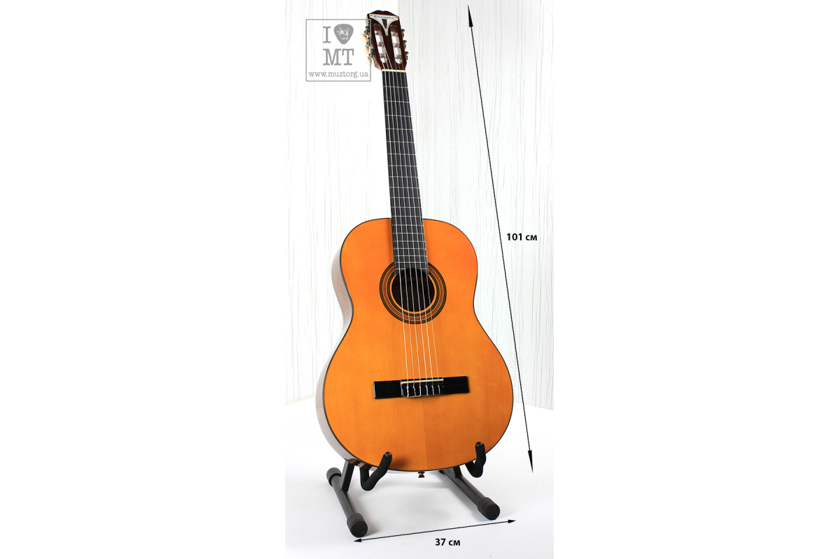 EPIPHONE PRO-1 CLASSIC 2.0 Гітара класична