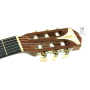 EPIPHONE PRO-1 CLASSIC 2.0 Гітара класична