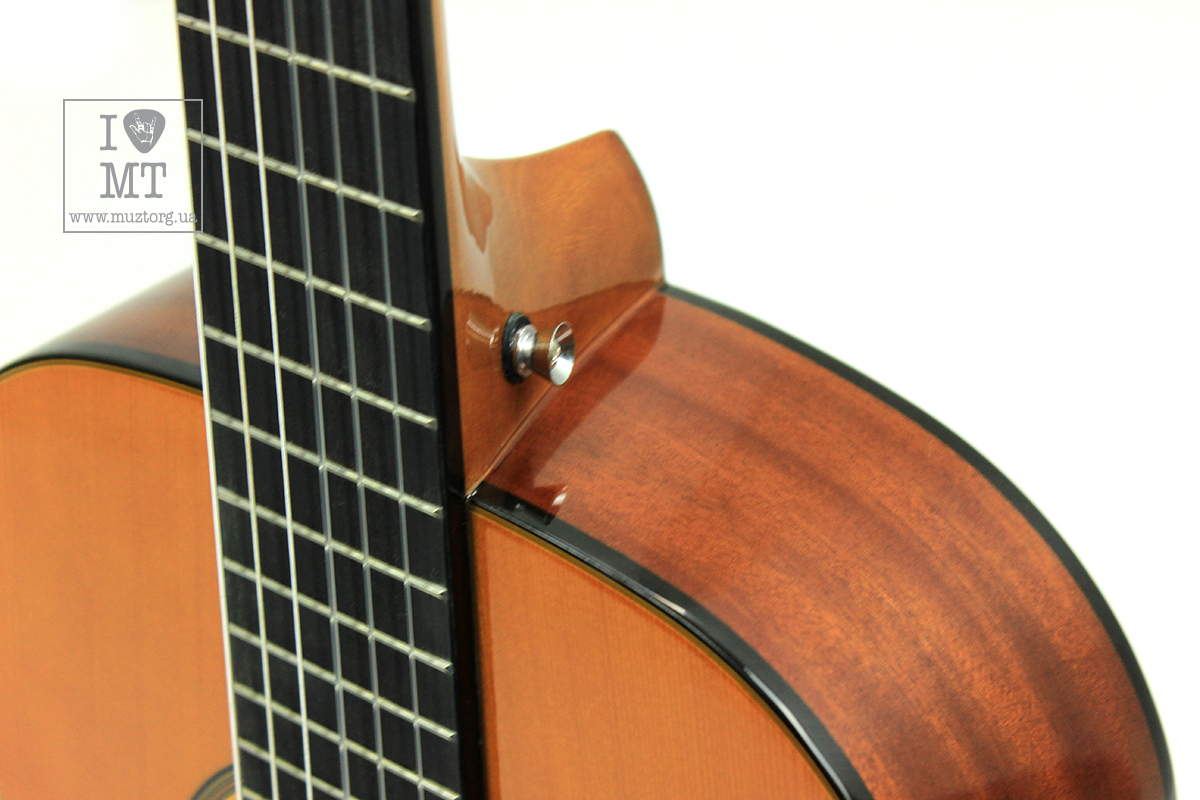 EPIPHONE PRO-1 CLASSIC 2.0 Гітара класична