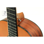 EPIPHONE PRO-1 CLASSIC 2.0 Гітара класична