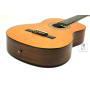 EPIPHONE PRO-1 CLASSIC 2.0 Гітара класична