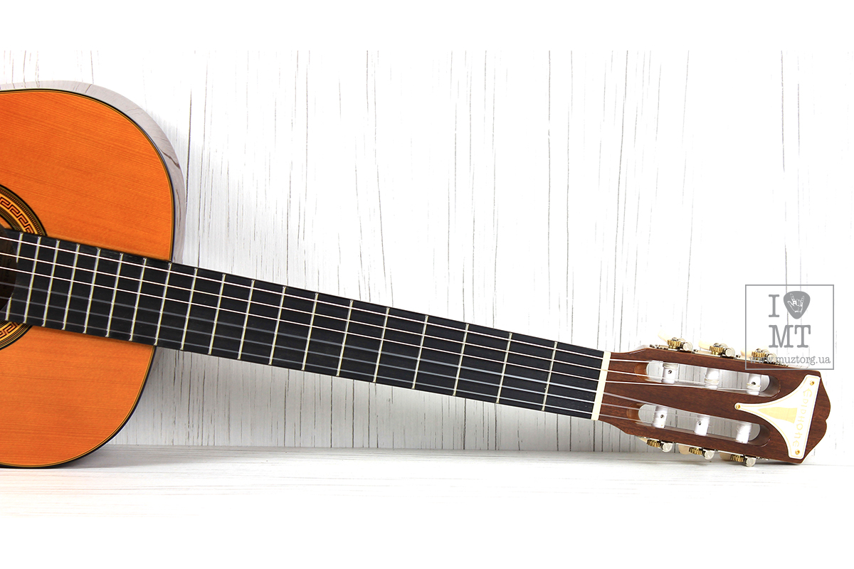 EPIPHONE PRO-1 CLASSIC 2.0 Гітара класична