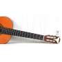 EPIPHONE PRO-1 CLASSIC 2.0 Гітара класична