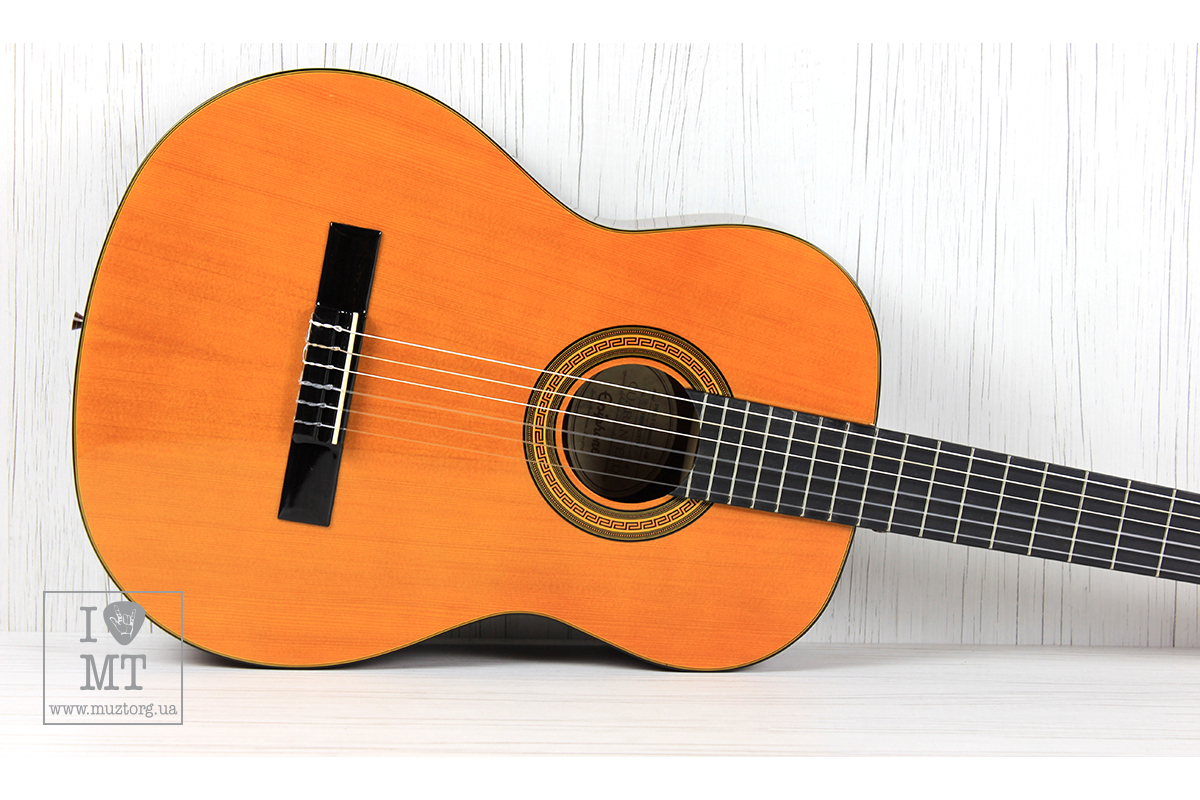 EPIPHONE PRO-1 CLASSIC 2.0 Гітара класична