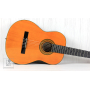 EPIPHONE PRO-1 CLASSIC 2.0 Гітара класична