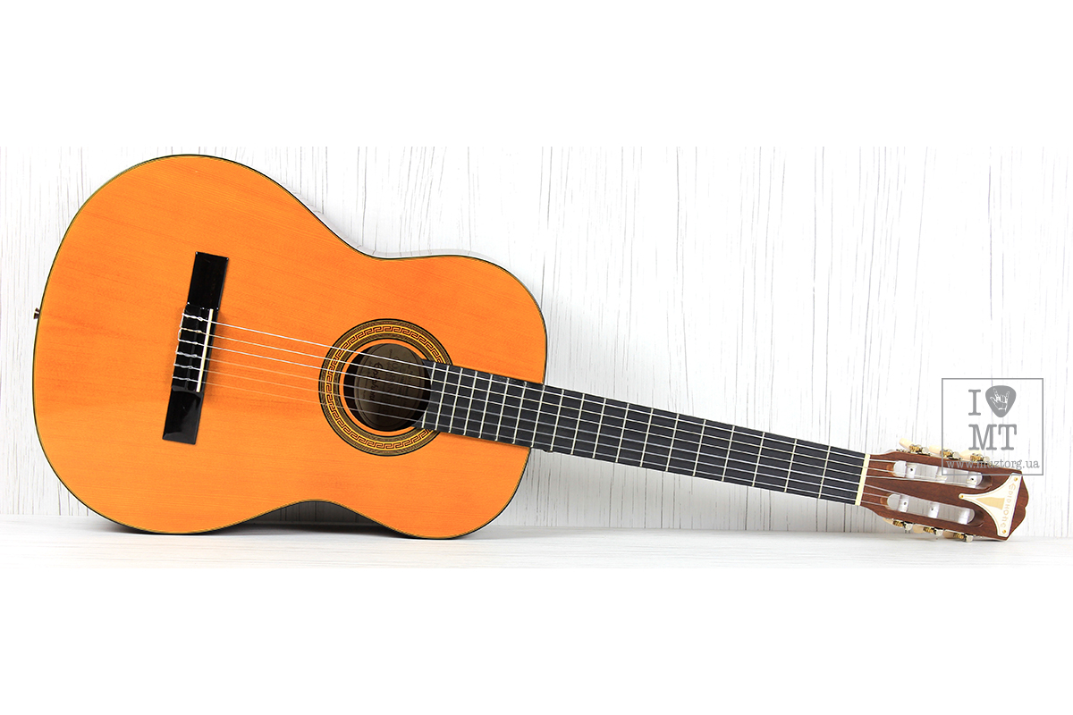 EPIPHONE PRO-1 CLASSIC 2.0 Гітара класична
