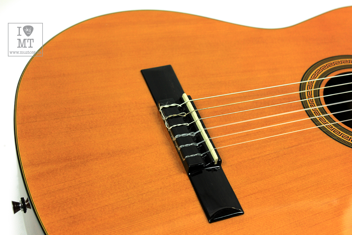 EPIPHONE PRO-1 CLASSIC 2.0 Гітара класична